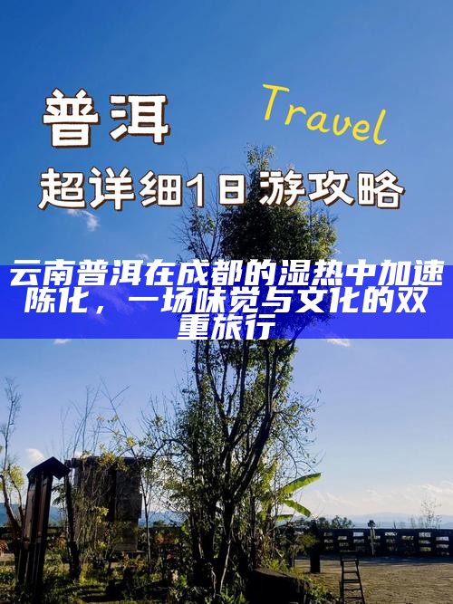 云南普洱在成都的湿热中加速陈化，一场味觉与文化的双重旅行