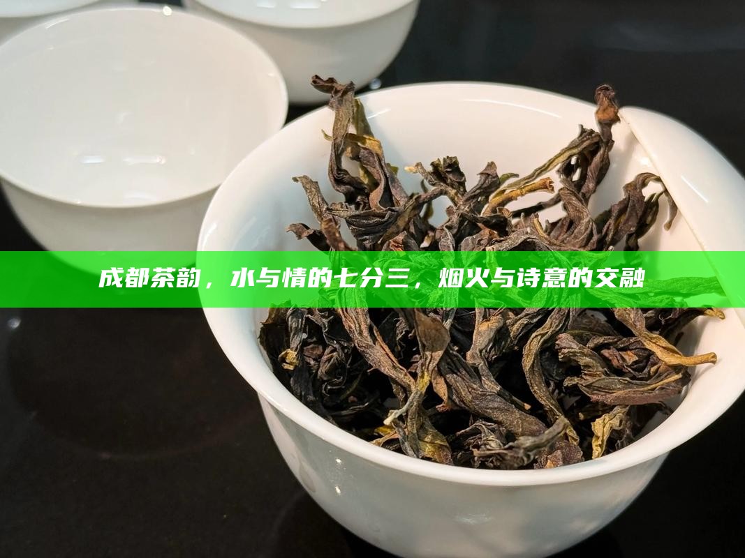 成都茶韵，水与情的七分三，烟火与诗意的交融